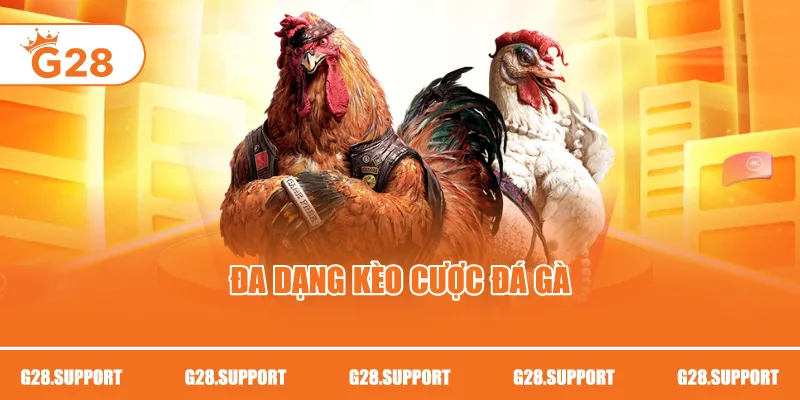 Đa dạng kèo cược đá gà